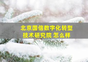 北京国信数字化转型技术研究院 怎么样